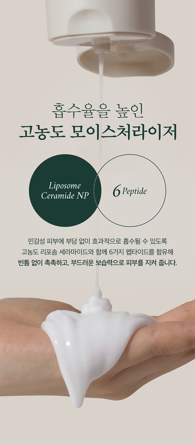 웹상세_02
